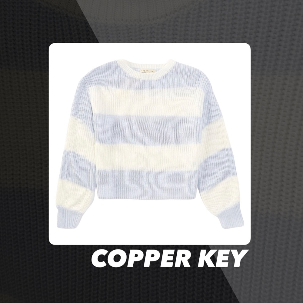 EUC Copper Key Icy Blue Shaker Striped Sweater